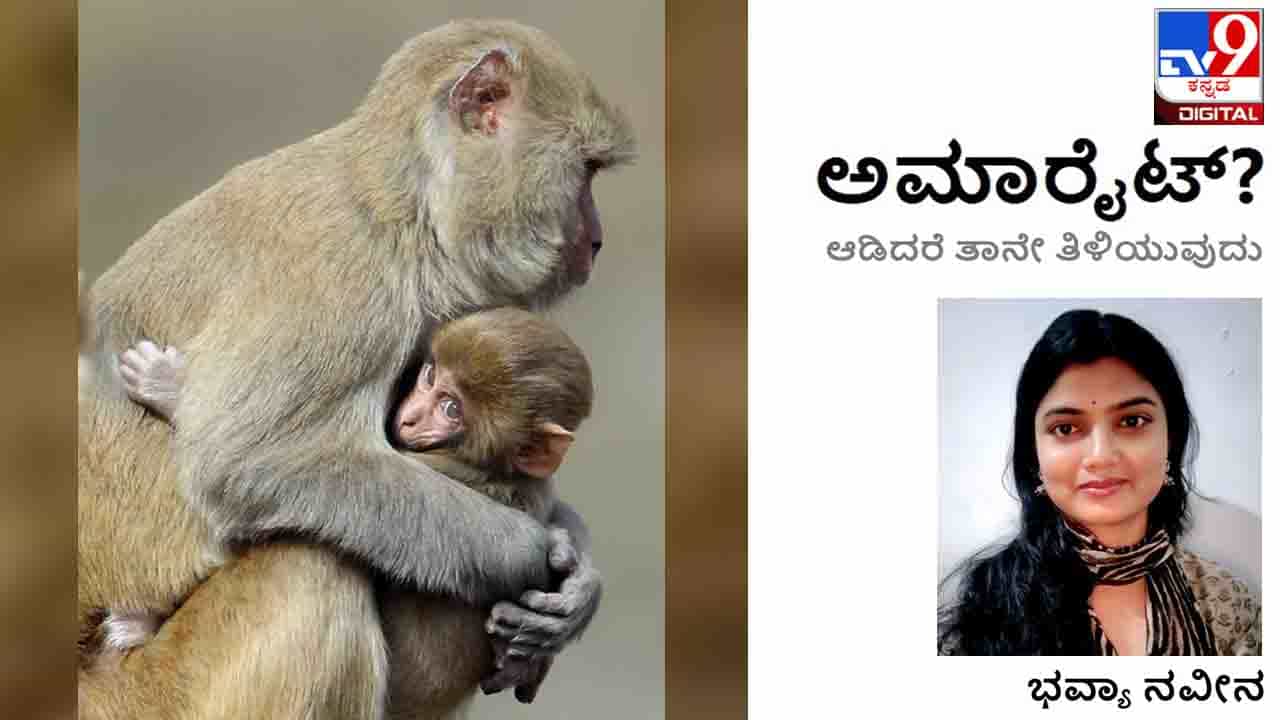War: ಅಮಾರೈಟ್; ಈ ತುದಿಯಲ್ಲಿ ಬಿದ್ದ ಬಾಂಬಿನ ದಟ್ಟಹೊಗೆ ಗಡಿಯಾಚೆಯ ದೇಶಕ್ಕೆ ಬೀಸದಂತೆ ತಡೆಯಬಹುದಾ? War: ಅಮಾರೈಟ್; ಈ ತುದಿಯಲ್ಲಿ ಬಿದ್ದ ಬಾಂಬಿನ ದಟ್ಟಹೊಗೆ ಗಡಿಯಾಚೆಯ ದೇಶಕ್ಕೆ ಬೀಸದಂತೆ ತಡೆಯಬಹುದಾ?
