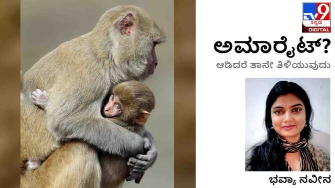 War: ಅಮಾರೈಟ್; ಈ ತುದಿಯಲ್ಲಿ ಬಿದ್ದ ಬಾಂಬಿನ ದಟ್ಟಹೊಗೆ ಗಡಿಯಾಚೆಯ ದೇಶಕ್ಕೆ ಬೀಸದಂತೆ ತಡೆಯಬಹುದಾ? War: ಅಮಾರೈಟ್; ಈ ತುದಿಯಲ್ಲಿ ಬಿದ್ದ ಬಾಂಬಿನ ದಟ್ಟಹೊಗೆ ಗಡಿಯಾಚೆಯ ದೇಶಕ್ಕೆ ಬೀಸದಂತೆ ತಡೆಯಬಹುದಾ?