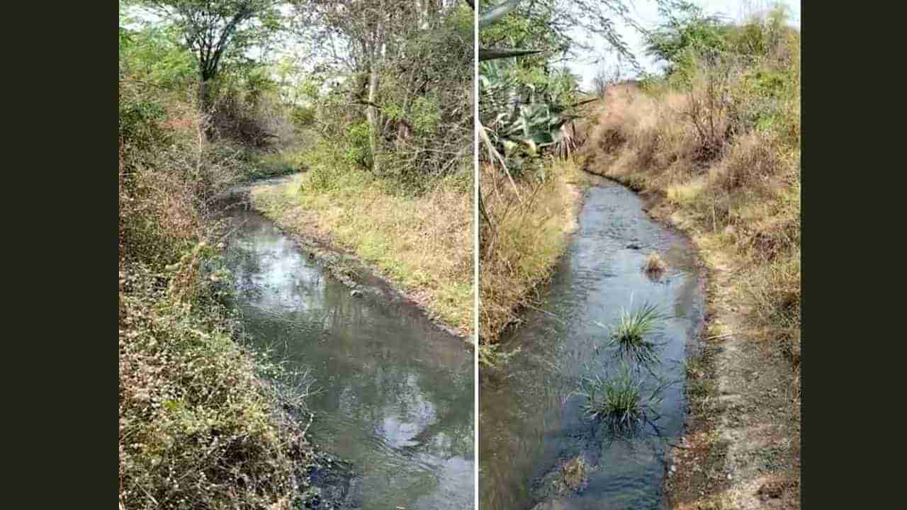 ಬೀದರ್: ಸಕ್ಕರೆ ಕಾರ್ಖಾನೆ ತ್ಯಾಜ್ಯ ಹಳ್ಳದ ನೀರಿಗೆ; ನಾಲ್ಕೈದು ಗ್ರಾಮದ ಜನರಿಗೆ ಕುಡಿಯುವ ನೀರಿನ ಸಮಸ್ಯೆ