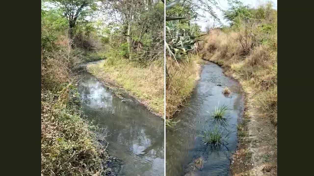 ಬೀದರ್: ಸಕ್ಕರೆ ಕಾರ್ಖಾನೆ ತ್ಯಾಜ್ಯ ಹಳ್ಳದ ನೀರಿಗೆ; ನಾಲ್ಕೈದು ಗ್ರಾಮದ ಜನರಿಗೆ ಕುಡಿಯುವ ನೀರಿನ ಸಮಸ್ಯೆ