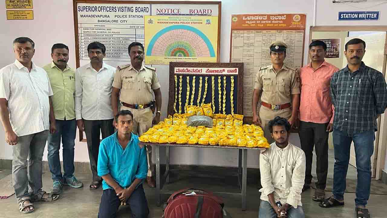 ಗಾಂಜಾ ಎಣ್ಣೆಯಲ್ಲಿ ಚಾಕೋಲೇಟ್! ಒಡಿಸಾದ ಇಬ್ಬರು ಐನಾತಿಗಳು ಮಹದೇವಪುರದಲ್ಲಿ ಅರೆಸ್ಟ್ ಗಾಂಜಾ ಎಣ್ಣೆಯಲ್ಲಿ ಚಾಕೋಲೇಟ್! ಒಡಿಸಾದ ಇಬ್ಬರು ಐನಾತಿಗಳು ಮಹದೇವಪುರದಲ್ಲಿ ಅರೆಸ್ಟ್
