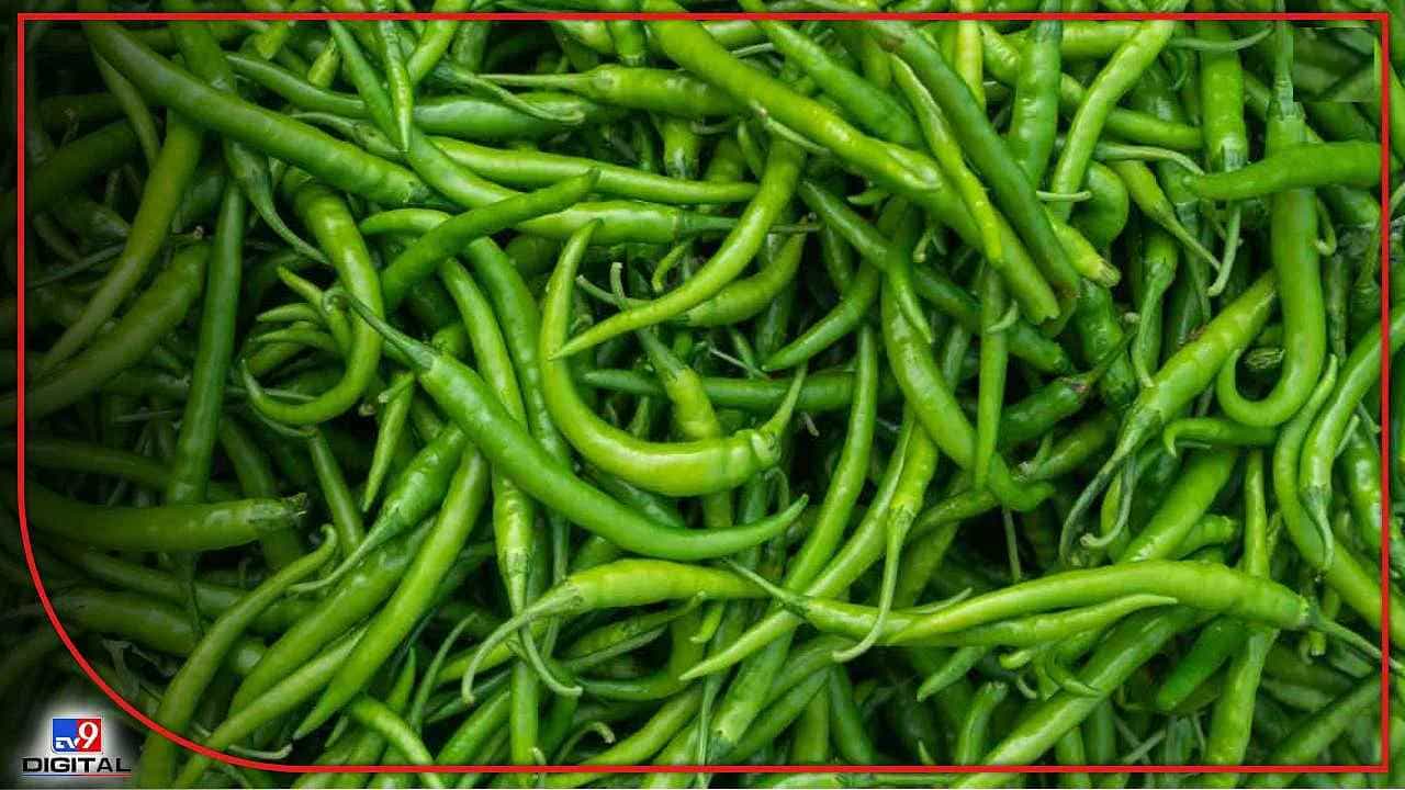 Vegetable Price: ಗಗನಕ್ಕೇರಿದ ಮೆಣಸಿನಕಾಯಿ ಬೆಲೆ; ತರಕಾರಿ ದರ ಹೇಗಿದೆ? ಇಲ್ಲಿದೆ ವಿವರ Vegetable Price: ಗಗನಕ್ಕೇರಿದ ಮೆಣಸಿನಕಾಯಿ ಬೆಲೆ; ತರಕಾರಿ ದರ ಹೇಗಿದೆ? ಇಲ್ಲಿದೆ ವಿವರ