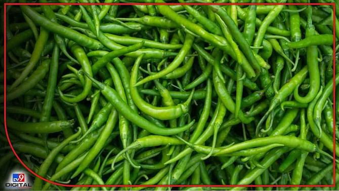 Vegetable Price: ಗಗನಕ್ಕೇರಿದ ಮೆಣಸಿನಕಾಯಿ ಬೆಲೆ; ತರಕಾರಿ ದರ ಹೇಗಿದೆ? ಇಲ್ಲಿದೆ ವಿವರ Vegetable Price: ಗಗನಕ್ಕೇರಿದ ಮೆಣಸಿನಕಾಯಿ ಬೆಲೆ; ತರಕಾರಿ ದರ ಹೇಗಿದೆ? ಇಲ್ಲಿದೆ ವಿವರ