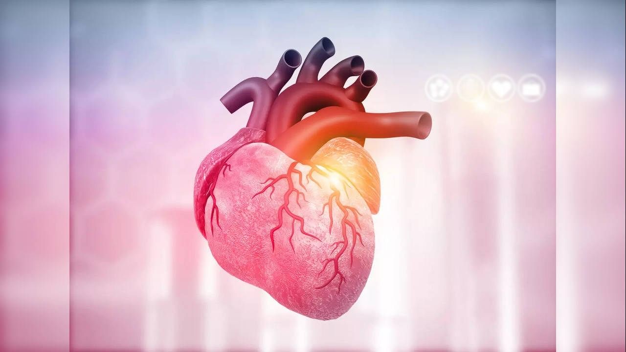 Heart Health: ಹೃದಯದ ಚಟುವಟಿಕೆಗೆ ನಿಮಗೆ ತಿಳಿಯದೇ ಈ ಅಂಶಗಳು ಹಾನಿಮಾಡಬಹುದು; ಗಮನವಿಡಿ