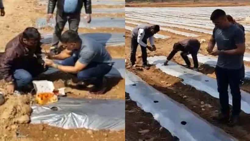 ಹೋಳಿ ಹಬ್ಬದ ಆಫರ್; ತನ್ನ ಫಾರ್ಮ್ಹೌಸ್ನಲ್ಲಿ ಬೆಳೆದ ಹಣ್ಣುಗಳನ್ನು ಕೊಳ್ಳುವವರಿಗೆ ವಿಶೇಷ ರಿಯಾಯಿತಿ ಕೊಟ್ಟ ಧೋನಿ!