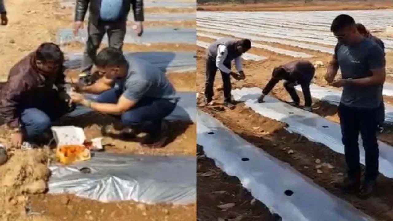 ಹೋಳಿ ಹಬ್ಬದ ಆಫರ್; ತನ್ನ ಫಾರ್ಮ್ಹೌಸ್ನಲ್ಲಿ ಬೆಳೆದ ಹಣ್ಣುಗಳನ್ನು ಕೊಳ್ಳುವವರಿಗೆ ವಿಶೇಷ ರಿಯಾಯಿತಿ ಕೊಟ್ಟ ಧೋನಿ!