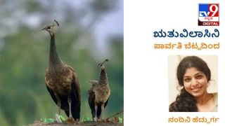 Literature: ಆತನ ಸೆಕೆಂಡ್ ಹ್ಯಾಂಡ್ ಪುಸ್ತಕಕ್ಕೂ ನೂರಾರು ಡಾಲರ್, ಆದರೆ ಕೆಲ ಕ್ಷಣಗಳಲ್ಲೇ ಅಲಭ್ಯ!