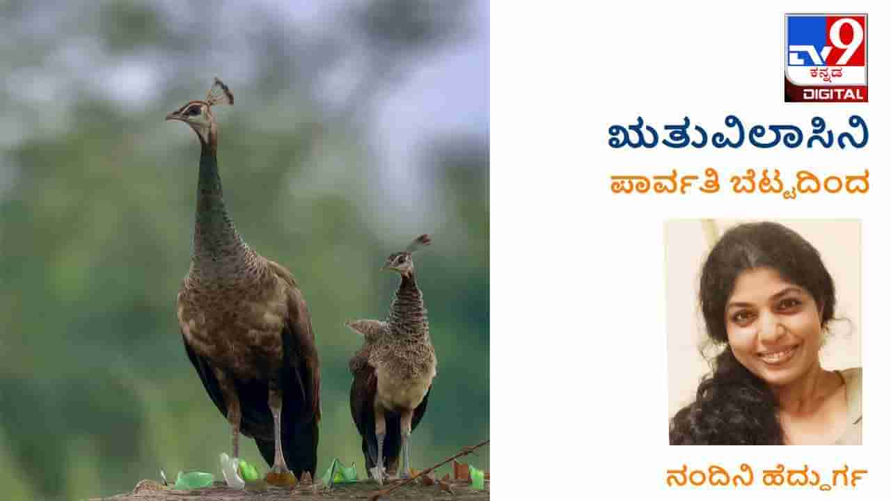 ಋತುವಿಲಾಸಿನಿ: ‘ಈ ಪುಟಾಣಿ ಹಕ್ಕಿಕಣ್ಣಿನ ಹಸಿವೆಯಷ್ಟು ಪ್ರೀತಿಸ್ತೀನಿ ನಿನ್ನ’ ಅಂತಿದ್ದನವ