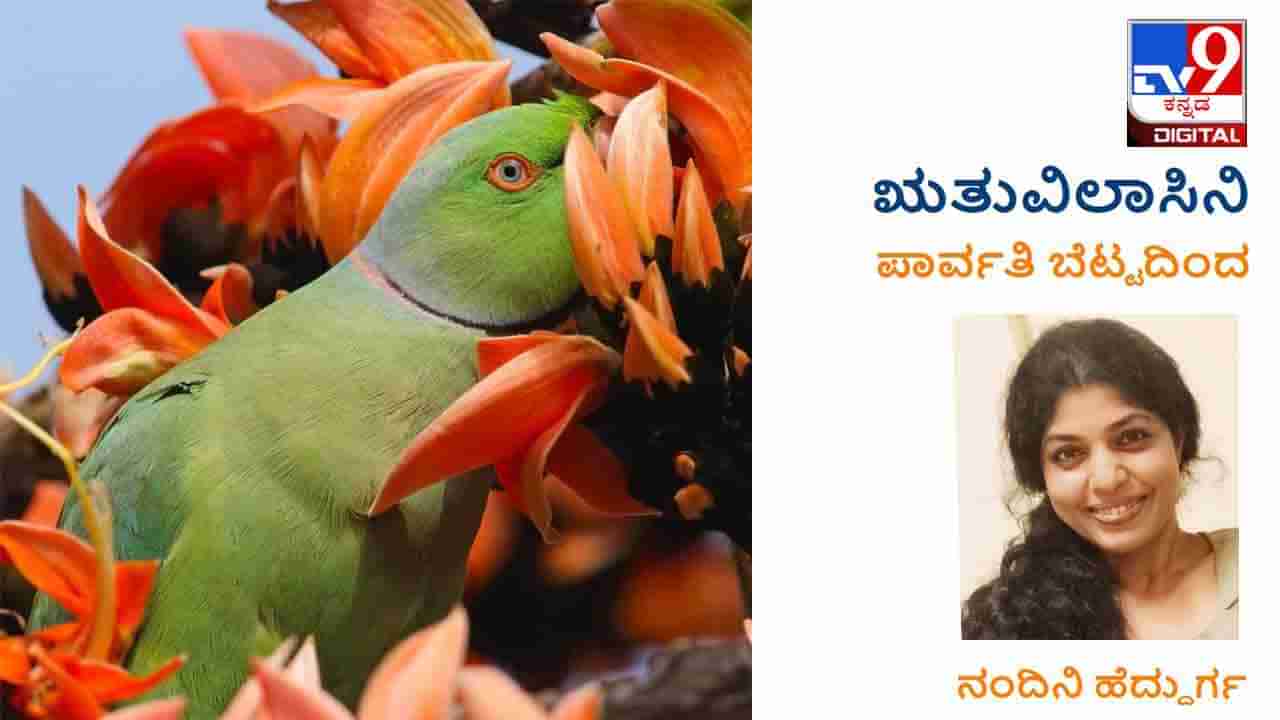 ಋತುವಿಲಾಸಿನಿ: ನಾಲ್ಕು ದಿನಗಳಾದರೂ ನಮ್ಮ ನಡುವೆ ಮಾತಿಲ್ಲದೆ ನನ್ನ ಕೋಪ ಮೀರಿದ್ದ ಆ ದಿನ