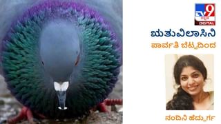 New Book: ಶೆಲ್ಫಿಗೇರುವ ಮುನ್ನ; ‘ಭ್ರಮೆ ಮತ್ತು ವಾಸ್ತವಗಳ ನಡುವೆ’ ಅನುವಾದಿತ ಕೃತಿ ಇಂದಿನಿಂದ ಲಭ್ಯ