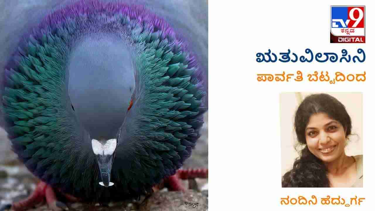 ಋತುವಿಲಾಸಿನಿ: ಮುಕ್ಕಾಲು ಹೆಣ್ಣುಮಕ್ಕಳು ಮೊಮ್ಮಕ್ಕಳ ಕಂಡರೂ ಕನ್ಯೆಯಾಗಿಯೇ ಸಾಯುತ್ತಾರೆ