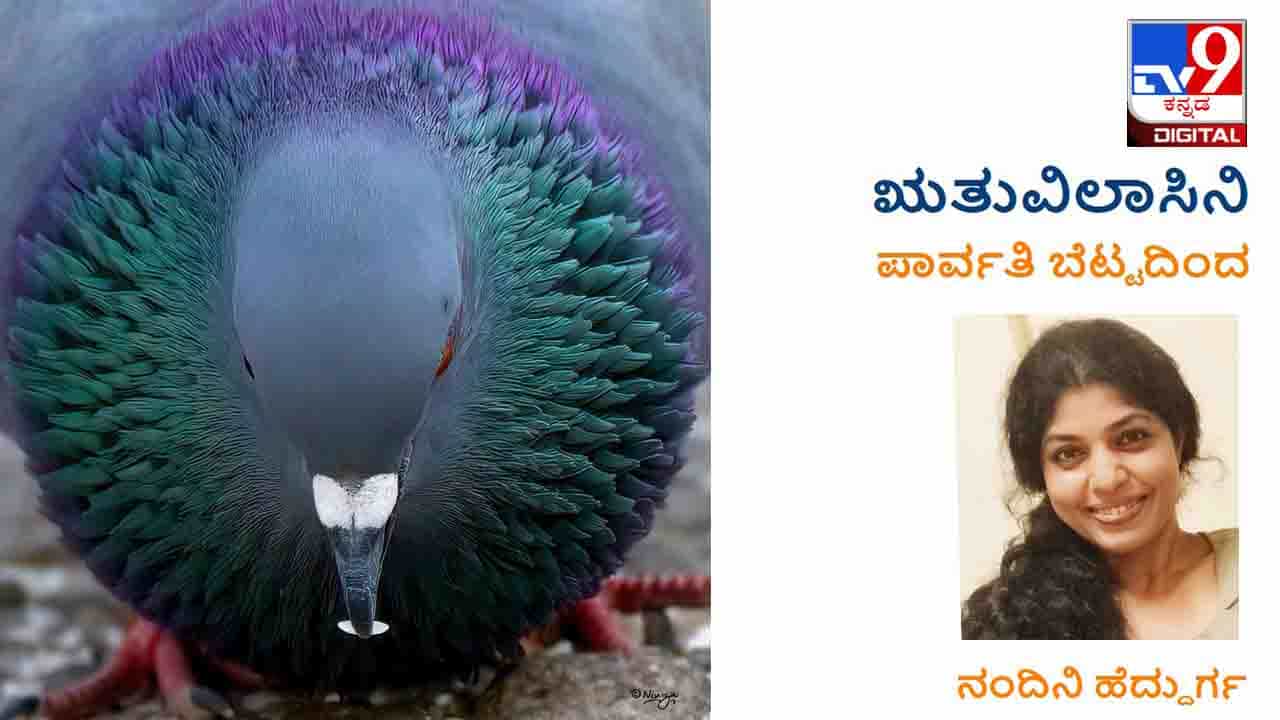 ಋತುವಿಲಾಸಿನಿ: ಮುಕ್ಕಾಲು ಹೆಣ್ಣುಮಕ್ಕಳು ಮೊಮ್ಮಕ್ಕಳ ಕಂಡರೂ ಕನ್ಯೆಯಾಗಿಯೇ ಸಾಯುತ್ತಾರೆ ಋತುವಿಲಾಸಿನಿ: ಮುಕ್ಕಾಲು ಹೆಣ್ಣುಮಕ್ಕಳು ಮೊಮ್ಮಕ್ಕಳ ಕಂಡರೂ ಕನ್ಯೆಯಾಗಿಯೇ ಸಾಯುತ್ತಾರೆ
