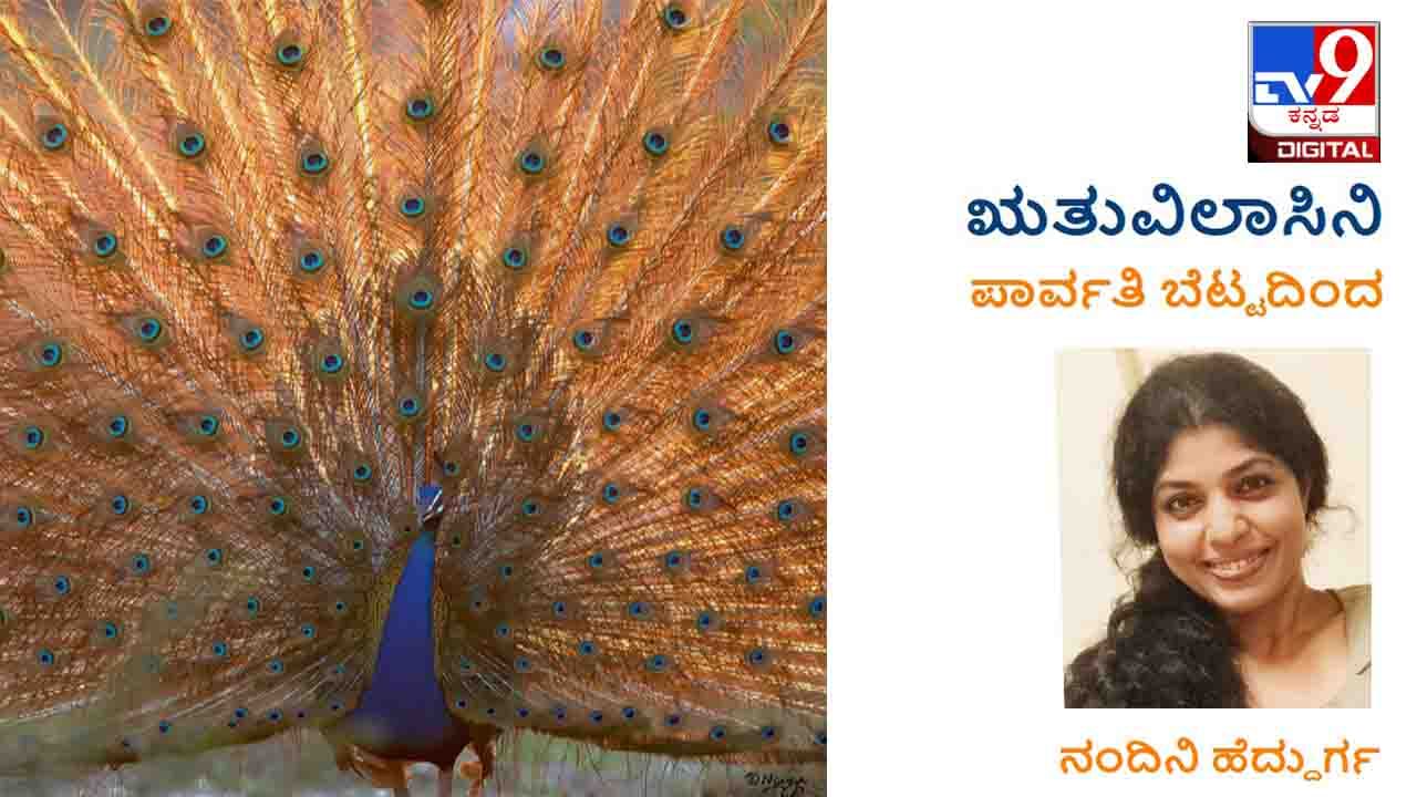 ಋತುವಿಲಾಸಿನಿ: ಈ ಪುಲ್ಲಿಂಗಗಳಿಗೆ ‘ತೊರೆಯುವುದು’ ಎಂದರೆ ಅದೆಷ್ಟು ಸಲೀಸು?