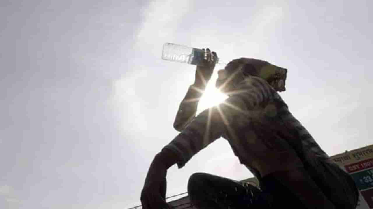 Summer Health Tips: ಬೇಸಿಗೆಯಲ್ಲಿ ದೇಹದ ನಿರ್ಜಲೀಕರಣ ತಡೆಯಲು ಹೀಗೆ ಮಾಡಿ