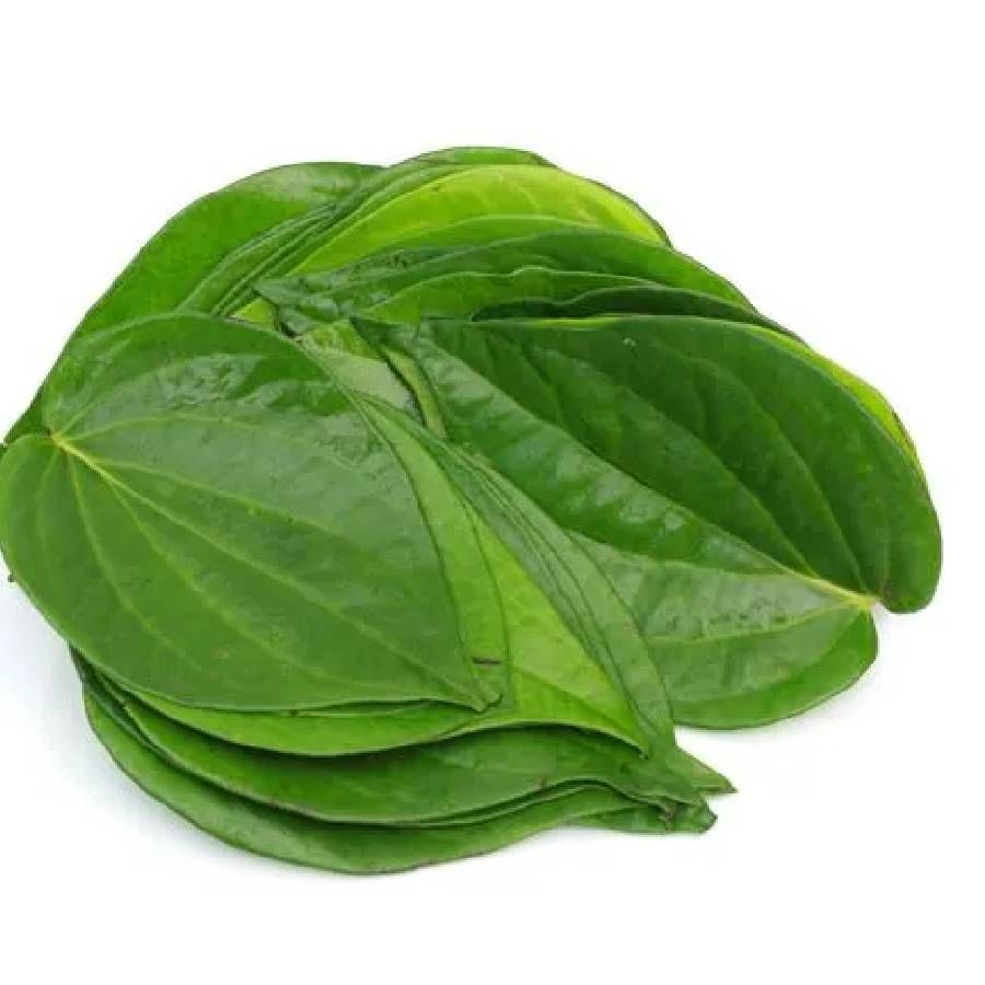 Take leaves. Betel Leaf. Перец бетель. Экстракт листьев перца бетель для женского здоровья.