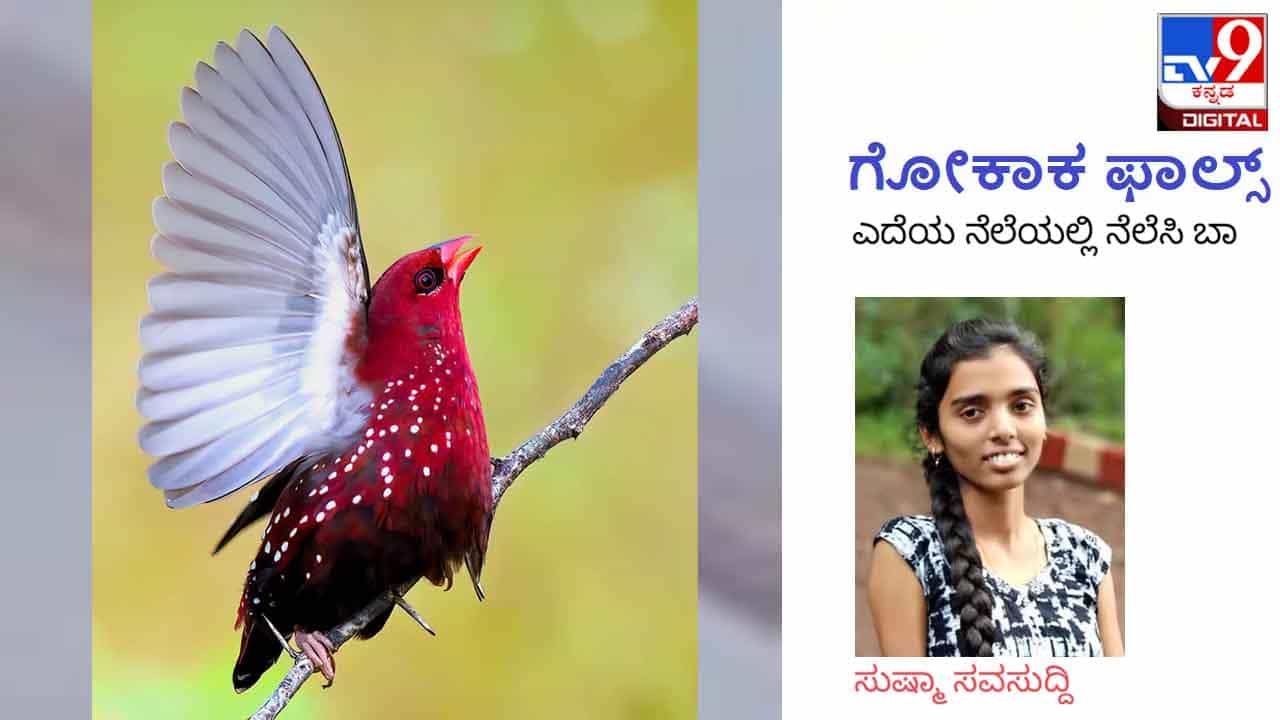 Women‘s Day 2022: Gokak Falls; ‘ಗಂಡನಮನೆಗೆ ಹೋಗುವಾಗ ಒಂದೆರಡು ಹನಿ ಉದುರಿದ್ದು ಸಂತಸಕ್ಕಿರಬೇಕು’