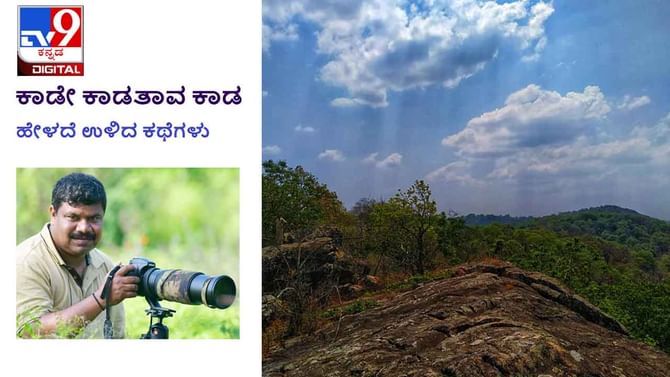 Forest Stories: ಕಾಡೇ ಕಾಡತಾವ ಕಾಡ; ಖಾಲೀ ಗುಡಿಸಲು ಬಿಯರು ಬಾಟಲಿಗಳು Forest Stories: ಕಾಡೇ ಕಾಡತಾವ ಕಾಡ; ಖಾಲೀ ಗುಡಿಸಲು ಬಿಯರು ಬಾಟಲಿಗಳು