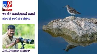 Forest Stories: ಕಾಡೇ ಕಾಡತಾವ ಕಾಡ; ಅಲ್ಲಿ ಹೊಗೆ ಕಾಣಿಸುತ್ತಿದೆ ಎಂದರೆ ಅವರಲ್ಲಿ ಇಲ್ಲವೆಂದರ್ಥ