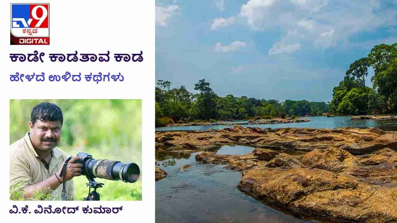 Forest Stories: ಕಾಡೇ ಕಾಡತಾವ ಕಾಡ; ಅಲ್ಲಿ ಹೊಗೆ ಕಾಣಿಸುತ್ತಿದೆ ಎಂದರೆ ಅವರಲ್ಲಿ ಇಲ್ಲವೆಂದರ್ಥ