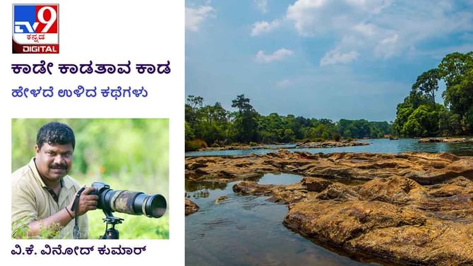 Forest Stories: ಕಾಡೇ ಕಾಡತಾವ ಕಾಡ; ಅಲ್ಲಿ ಹೊಗೆ ಕಾಣಿಸುತ್ತಿದೆ ಎಂದರೆ ಅವರಲ್ಲಿ ಇಲ್ಲವೆಂದರ್ಥ Forest Stories: ಕಾಡೇ ಕಾಡತಾವ ಕಾಡ; ಅಲ್ಲಿ ಹೊಗೆ ಕಾಣಿಸುತ್ತಿದೆ ಎಂದರೆ ಅವರಲ್ಲಿ ಇಲ್ಲವೆಂದರ್ಥ