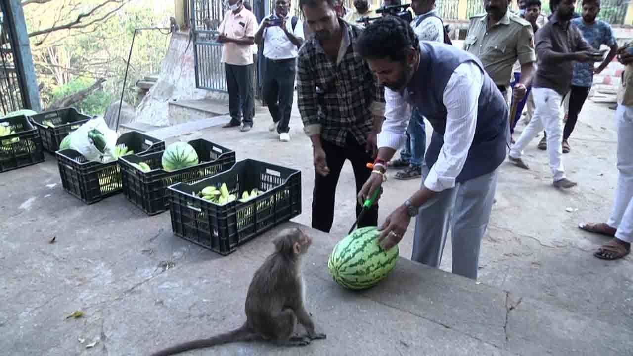 antharagange monkey food  