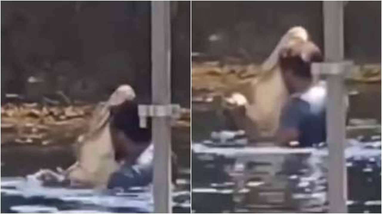 viral video: ಕೊಳದಲ್ಲಿ ಮೊಸಳೆಯನ್ನು ತಬ್ಬಿಕೊಂಡು ಡ್ಯಾನ್ಸ್ ಮಾಡಿದ ಭೂಪ; ಶಾಕಿಂಗ್ ವಿಡಿಯೋ ವೈರಲ್ viral video: ಕೊಳದಲ್ಲಿ ಮೊಸಳೆಯನ್ನು ತಬ್ಬಿಕೊಂಡು ಡ್ಯಾನ್ಸ್ ಮಾಡಿದ ಭೂಪ; ಶಾಕಿಂಗ್ ವಿಡಿಯೋ ವೈರಲ್