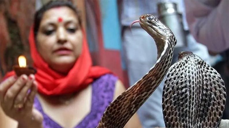 Snakes Village: ಮನುಷ್ಯರೊಂದಿಗೆ ಹಾವುಗಳು ವಾಸಿಸುವ ಸ್ಥಳ ಯಾವುದು ಗೊತ್ತಾ..! ಇಲ್ಲಿದೆ ಕುತೂಹಲಕಾರಿ ಸಂಗತಿ