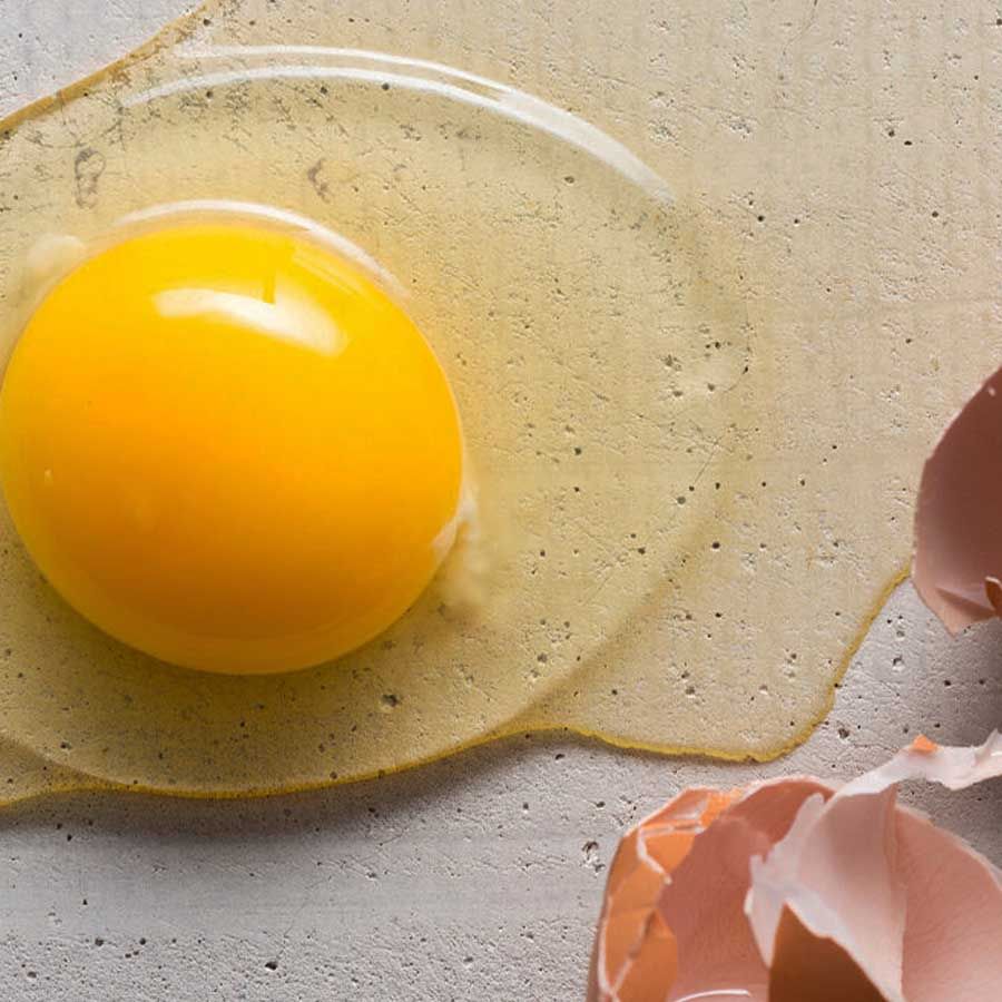 The strongest egg yolk. Желток. Розовый желток. Белый желток. Шелк желток.