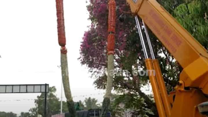 ದೊಡ್ಡಬಳ್ಳಾಪುರ: ರಾಹುಲ್ ಗಾಂಧಿ ಸ್ವಾಗತಕ್ಕೆ ಬೃಹತ್ ಹೂವಿನ ಹಾರ ತರಿಸಿರುವ ಕಾಂಗ್ರೆಸ್ ಮುಖಂಡರು ದೊಡ್ಡಬಳ್ಳಾಪುರ: ರಾಹುಲ್ ಗಾಂಧಿ ಸ್ವಾಗತಕ್ಕೆ ಬೃಹತ್ ಹೂವಿನ ಹಾರ ತರಿಸಿರುವ ಕಾಂಗ್ರೆಸ್ ಮುಖಂಡರು