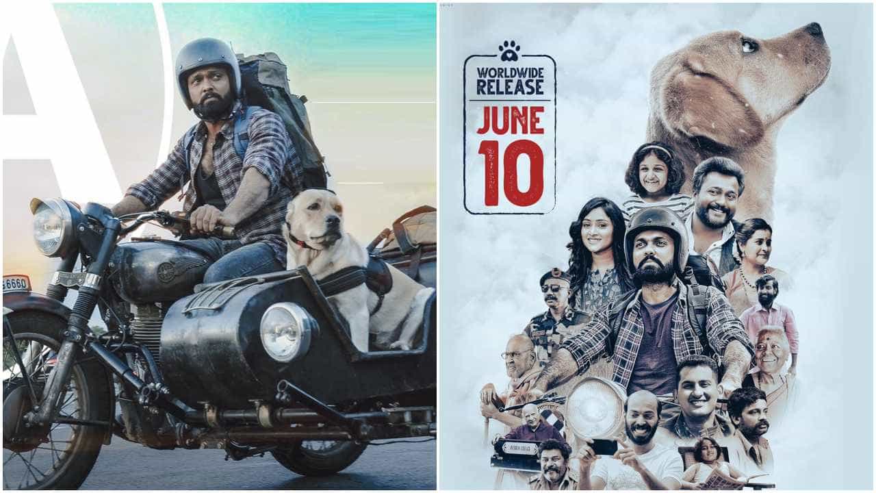 ಜೂ.10ರಂದು ರಿಲೀಸ್ ಆಗಲಿದೆ ‘777 ಚಾರ್ಲಿ’; ಸಿಹಿ ಸುದ್ದಿ ನೀಡಿದ ರಕ್ಷಿತ್ ಶೆಟ್ಟಿ ಆ್ಯಂಡ್ ಟೀಮ್ ಜೂ.10ರಂದು ರಿಲೀಸ್ ಆಗಲಿದೆ ‘777 ಚಾರ್ಲಿ’; ಸಿಹಿ ಸುದ್ದಿ ನೀಡಿದ ರಕ್ಷಿತ್ ಶೆಟ್ಟಿ ಆ್ಯಂಡ್ ಟೀಮ್