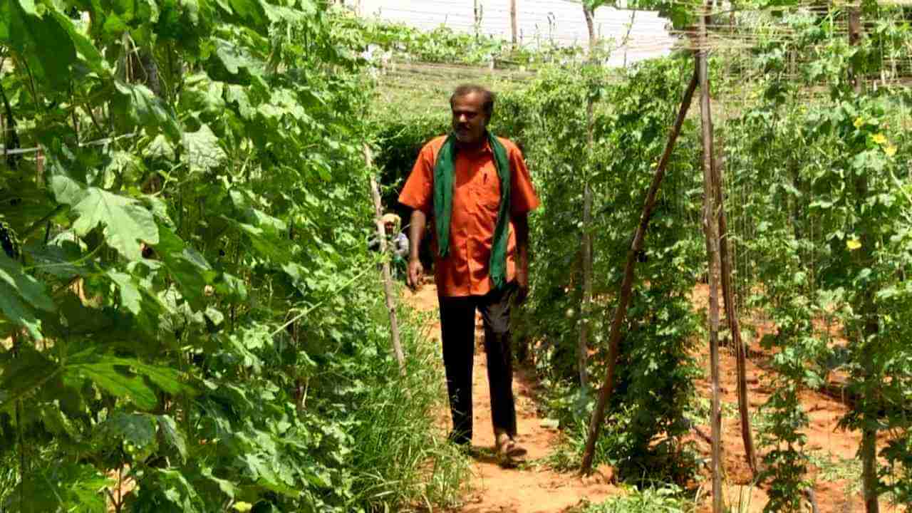 Succesful Agriculturist: ನಿವೃತ್ತ ಕ್ಲಾಸ್​ ಒನ್​ ಅಧಿಕಾರಿಯ ಕೃಷಿ ಪ್ರೇಮ -ಉತ್ತಮ ಕೃಷಿ ಮಾಡೋದ್ರಲ್ಲೂ ಕ್ಲಾಸ್​ ಒನ್!