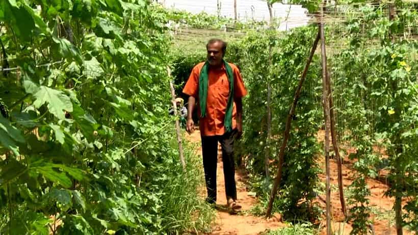 Succesful Agriculturist: ನಿವೃತ್ತ ಕ್ಲಾಸ್ ಒನ್ ಅಧಿಕಾರಿಯ ಕೃಷಿ ಪ್ರೇಮ -ಉತ್ತಮ ಕೃಷಿ ಮಾಡೋದ್ರಲ್ಲೂ ಕ್ಲಾಸ್ ಒನ್!
