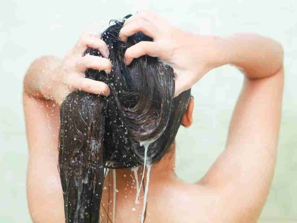 Hair Conditioner: ನಿಮ್ಮ ಕೂದಲಿನ ರಕ್ಷಣೆಗೆ  ಹೀಗೆ ಮಾಡಿ