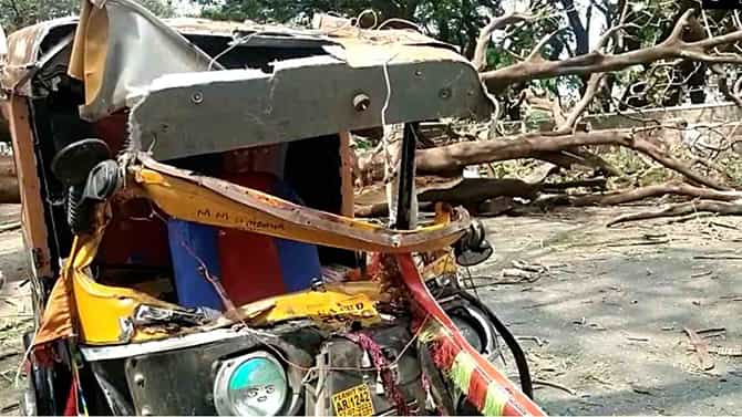 ವಿಜಯಪುರದಲ್ಲಿ ದಾರುಣ ಘಟನೆ; ಚಲಿಸುತ್ತಿದ್ದ ಆಟೋ ಮೇಲೆ ಮರ ಬಿದ್ದು ಮಹಿಳೆ ಸಾವು