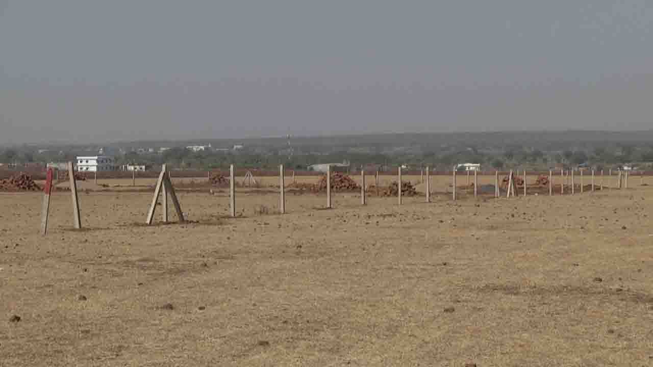 Blackbuck and deer 