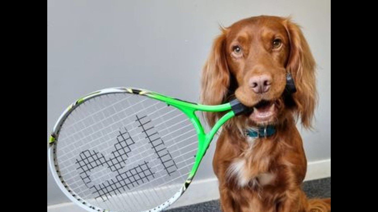 ಭರ್ಜರಿ ಬ್ಯಾಡ್ಮಿಂಟನ್ ಆಡಿದ ಶ್ವಾನ; ವಿಡಿಯೋ ಇಲ್ಲಿದೆ