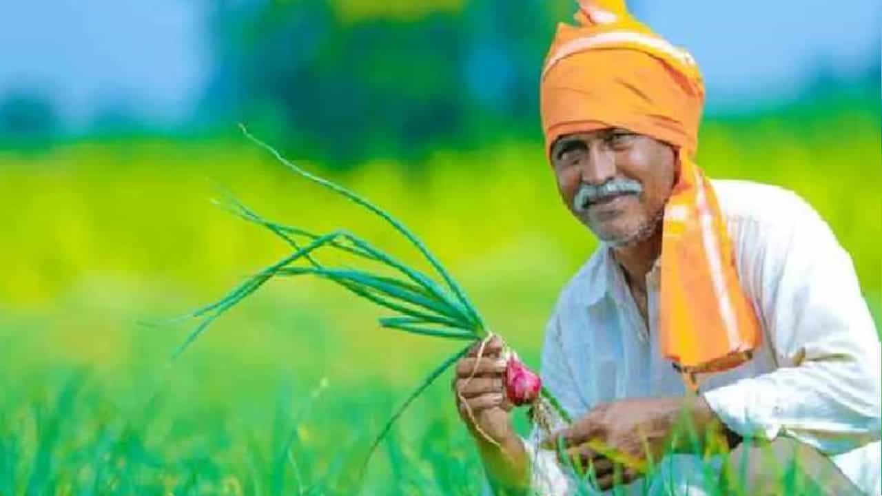 PM Kisan eKYC: ಪಿಎಂ ಕಿಸಾನ್ ಇಕೆವೈಸಿ ದಿನಾಂಕ ವಿಸ್ತರಣೆ ಆಗಿದ್ದರೂ ಆನ್ಲೈನ್ನಲ್ಲಿ ಅಪ್ಡೇಟ್ ಆಗಲ್ಲ PM Kisan eKYC: ಪಿಎಂ ಕಿಸಾನ್ ಇಕೆವೈಸಿ ದಿನಾಂಕ ವಿಸ್ತರಣೆ ಆಗಿದ್ದರೂ ಆನ್ಲೈನ್ನಲ್ಲಿ ಅಪ್ಡೇಟ್ ಆಗಲ್ಲ