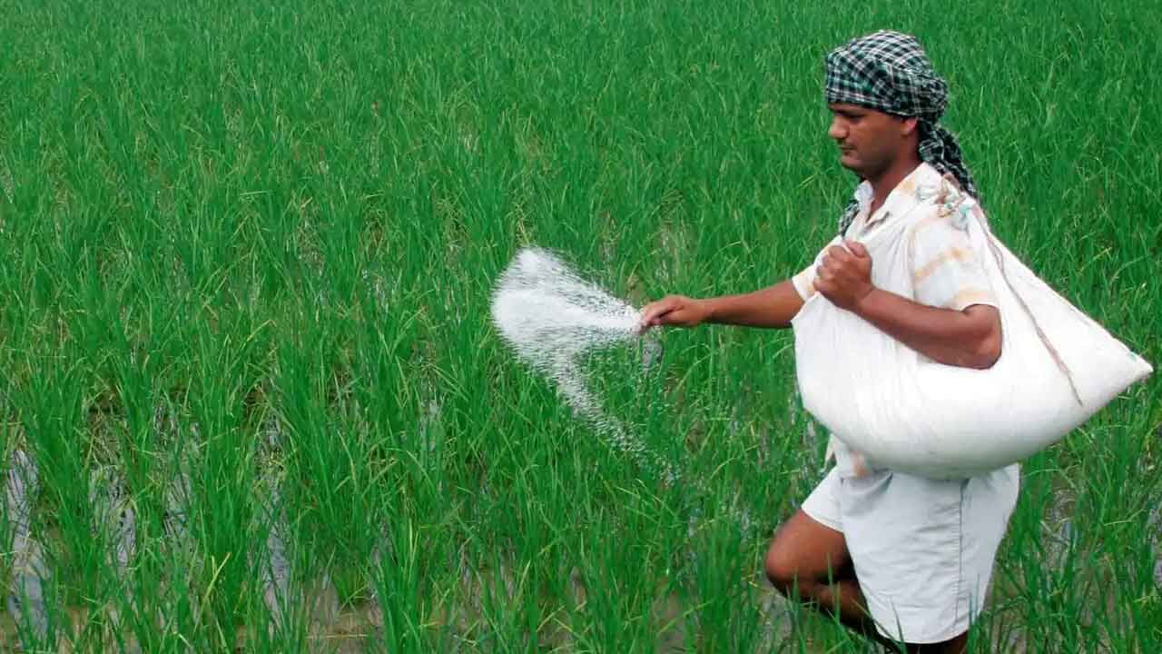 ರಸಗೊಬ್ಬರ ಬೆಲೆ ಇಳಿಕೆಗೆ ಹಲವು ಕ್ರಮ: ರಷ್ಯಾದಿಂದ ರಸಗೊಬ್ಬರ ಆಮದು ಖಾತ್ರಿ, ಸಬ್ಸಿಡಿಯೂ ಹೆಚ್ಚಳ - Kannada News | India secures fertiliser supplies from Russia Govt of India Announces additional Subsidy | TV9 Kannada