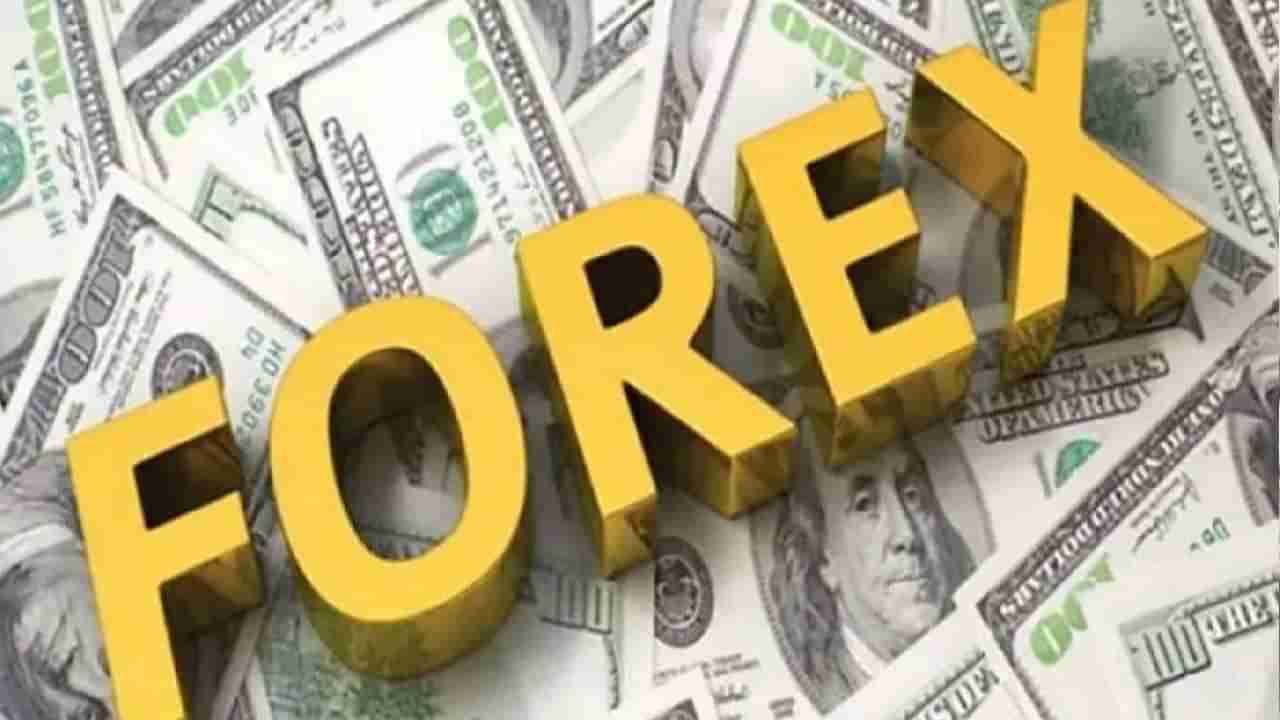 India Forex Reserves: ಭಾರತದ ವಿದೇಶಿ ವಿನಿಮಯ ಸಂಗ್ರಹ 3.271 ಬಿಲಿಯನ್ ಡಾಲರ್ ಇಳಿದು 600.423 ಶತಕೋಟಿ ಡಾಲರ್​ಗೆ ಕುಸಿತ