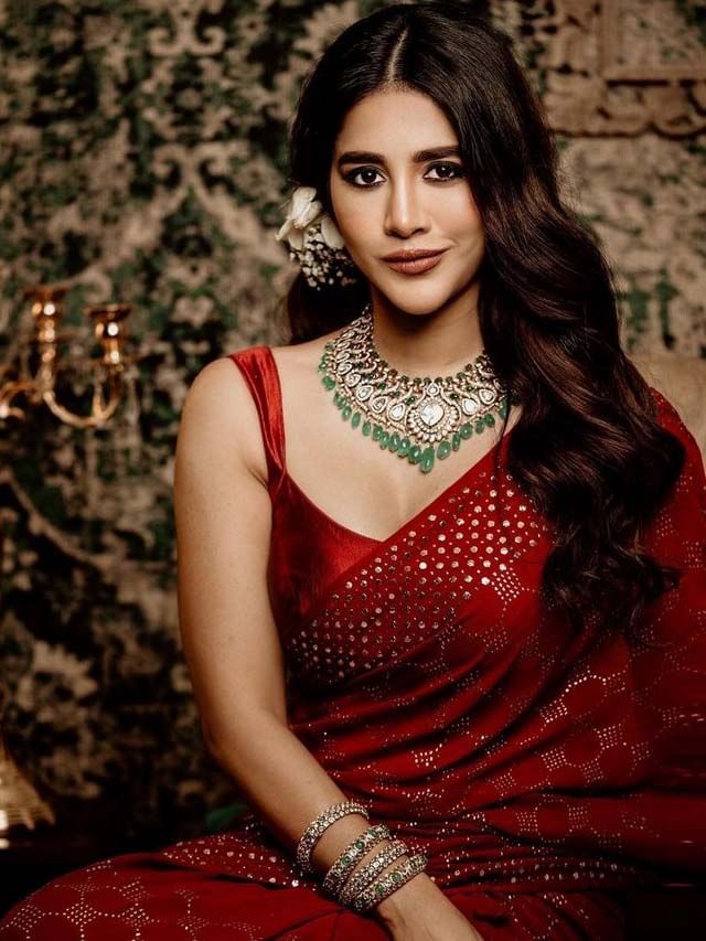 Nabha Natesh