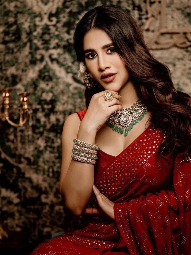Nabha Natesh1