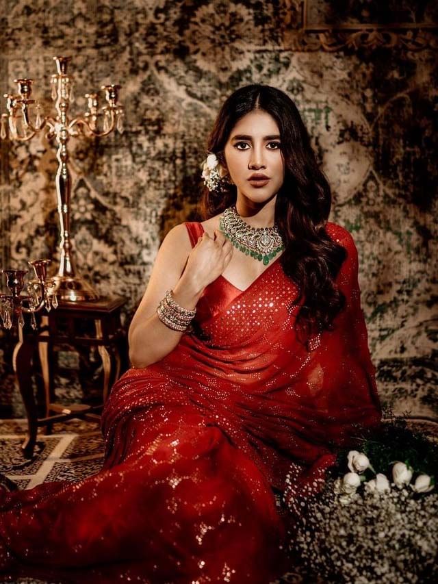 Nabha Natesh2