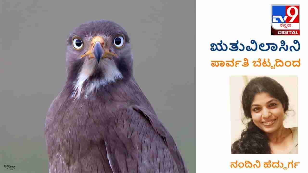 ಋತುವಿಲಾಸಿನಿ: ಕಲ್ಲಂಗಡಿ ಒಡೆದ ವಿಡಿಯೋ ಕಳಿಸಿದ ನೀನು ದೇವರ ಮೆರವಣಿಗೆಯಲ್ಲಿ ಕಲ್ಲು ತೂರಿದ್ದನ್ನೇಕೆ ಕಳಿಸಲಿಲ್ಲ?