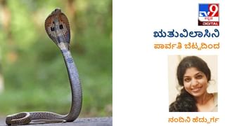 ನಿಮ್ಮ ಟೈಮ್​ಲೈನ್ : ಸಂಡಿಗೆಯ ಕಾಲದ ಅಮ್ಮನ ನೆನಪು ಹಸಿ ಹಸಿ