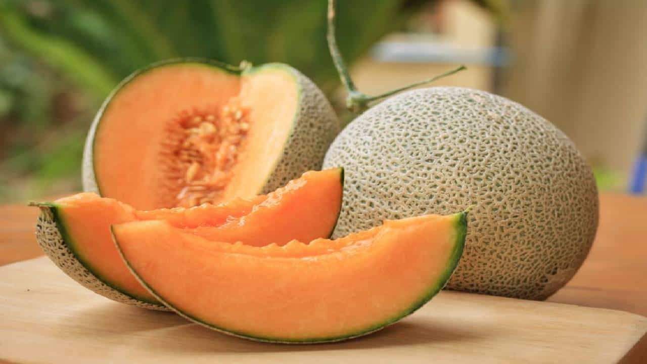 Muskmelon Benefits: ಬೇಸಿಗೆಯಲ್ಲಿ ಹೆಚ್ಚು ಕರ್ಬೂಜ ಹಣ್ಣುಗಳನ್ನು ಸೇವಿಸಲು ಏನೆಲ್ಲ ಉಪಯೋಗವಿದೆ ಗೊತ್ತಾ? Muskmelon Benefits: ಬೇಸಿಗೆಯಲ್ಲಿ ಹೆಚ್ಚು ಕರ್ಬೂಜ ಹಣ್ಣುಗಳನ್ನು ಸೇವಿಸಲು ಏನೆಲ್ಲ ಉಪಯೋಗವಿದೆ ಗೊತ್ತಾ?