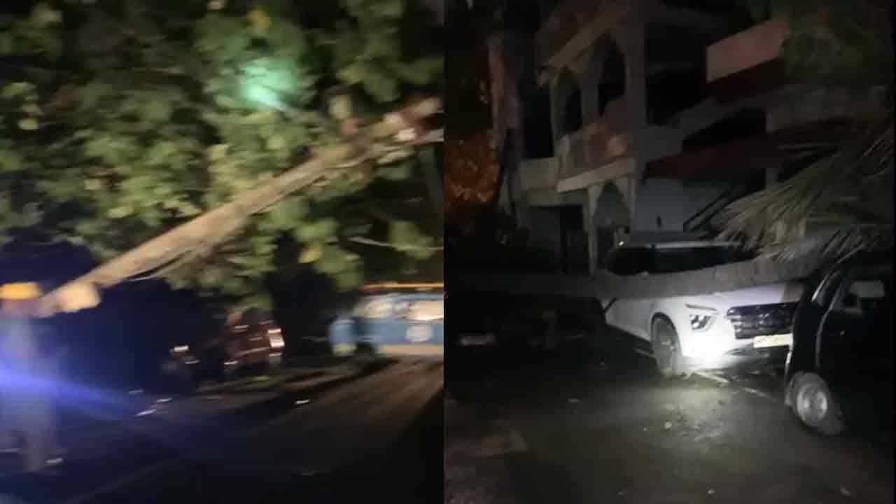 ಬೆಂಗಳೂರಿನಲ್ಲಿ ಬಿರುಗಾಳಿ ಸಹಿತ ಮಳೆ: ವಿದ್ಯುತ್ ಕಂಬದ ಮೇಲೆ ಮರ ಬಿದ್ದು ಪವರ್ ಕಟ್, ಅಪಘಾತದಲ್ಲಿ ಯುವಕ ಸಾವು ಬೆಂಗಳೂರಿನಲ್ಲಿ ಬಿರುಗಾಳಿ ಸಹಿತ ಮಳೆ: ವಿದ್ಯುತ್ ಕಂಬದ ಮೇಲೆ ಮರ ಬಿದ್ದು ಪವರ್ ಕಟ್, ಅಪಘಾತದಲ್ಲಿ ಯುವಕ ಸಾವು