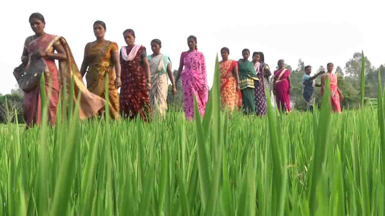 Rural Women group start up 1