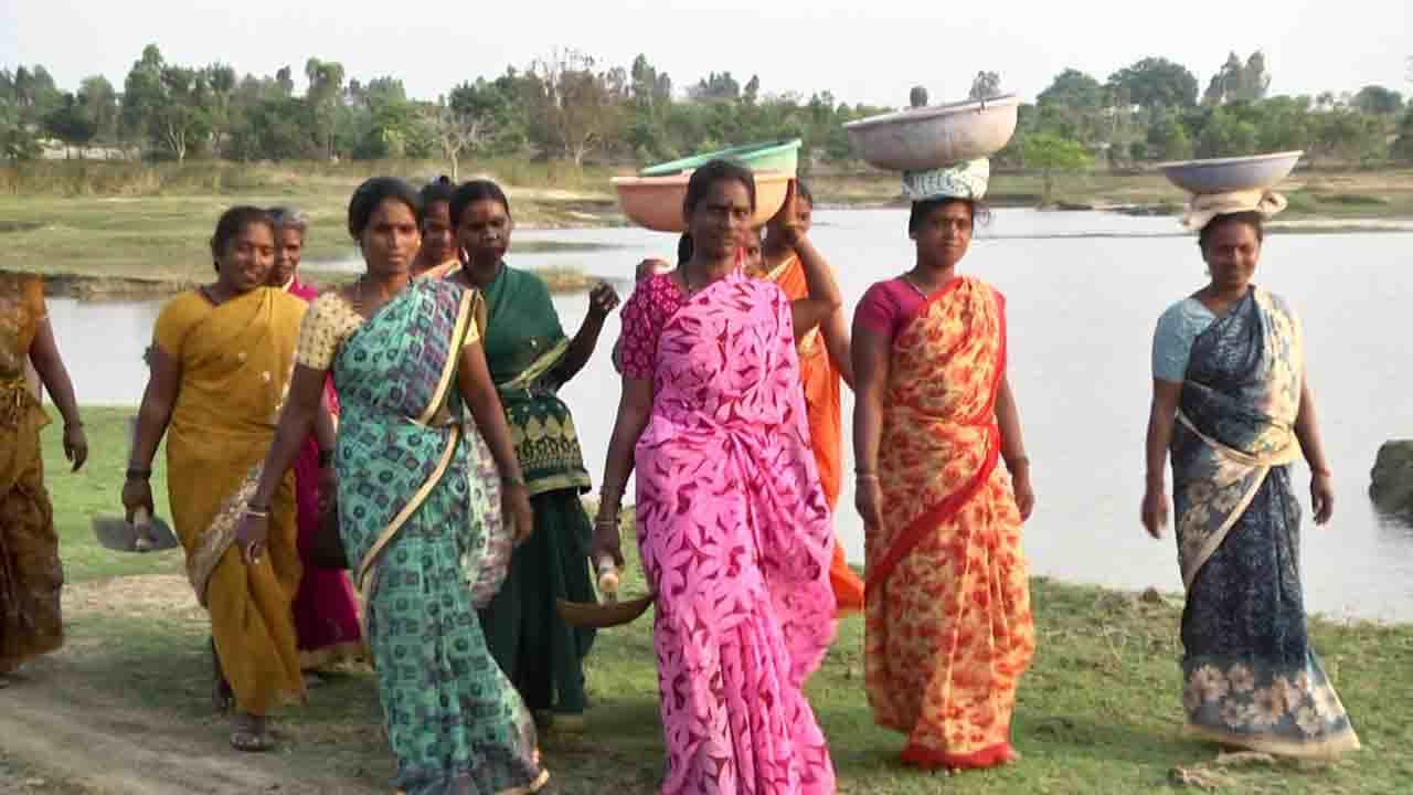 ಕೂಲಿ ಮಾಡಲು ಹೊರಟ ಮಹಿಳೆಯರಿಂದ ಗ್ರಾಮದ ಅಭಿವೃದ್ದಿ, ಬರಡು ಭೂಮಿಯಲ್ಲಿ ಭತ್ತದ ಬೆಳೆಯ ಕಮಾಲ್ ಕೂಲಿ ಮಾಡಲು ಹೊರಟ ಮಹಿಳೆಯರಿಂದ ಗ್ರಾಮದ ಅಭಿವೃದ್ದಿ, ಬರಡು ಭೂಮಿಯಲ್ಲಿ ಭತ್ತದ ಬೆಳೆಯ ಕಮಾಲ್