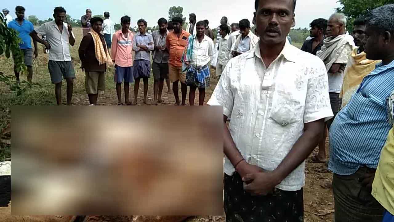 ತುಮಕೂರಿನಲ್ಲಿ ಸಿಡಿಲು ಬಡಿದು 20 ಕುರಿಗಳು ಸ್ಥಳದಲ್ಲೇ ದುರ್ಮರಣ; ಬಾಗಲಕೋಟೆಯಲ್ಲಿ ಸಾವಿರಾರು ಕೋಳಿಗಳು ಸಾವು ತುಮಕೂರಿನಲ್ಲಿ ಸಿಡಿಲು ಬಡಿದು 20 ಕುರಿಗಳು ಸ್ಥಳದಲ್ಲೇ ದುರ್ಮರಣ; ಬಾಗಲಕೋಟೆಯಲ್ಲಿ ಸಾವಿರಾರು ಕೋಳಿಗಳು ಸಾವು