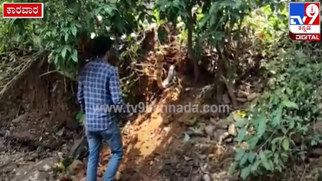 Viral Video: ಅಬ್ಬಬ್ಬಾ! ಉರಗ ತಜ್ಞರಿಂದ ಬೃಹತ್ ಕಾಳಿಂಗ ಸರ್ಪದ ರಕ್ಷಣೆ; ಹೇಗಿದೆ ನೋಡಿ